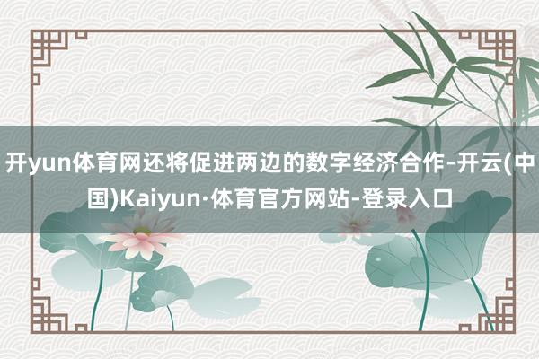 开yun体育网还将促进两边的数字经济合作-开云(中国)Kaiyun·体育官方网站-登录入口