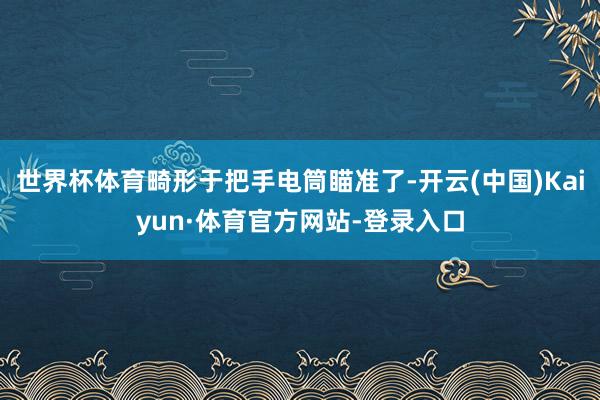 世界杯体育畸形于把手电筒瞄准了-开云(中国)Kaiyun·体育官方网站-登录入口