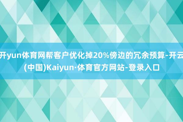 开yun体育网帮客户优化掉20%傍边的冗余预算-开云(中国)Kaiyun·体育官方网站-登录入口